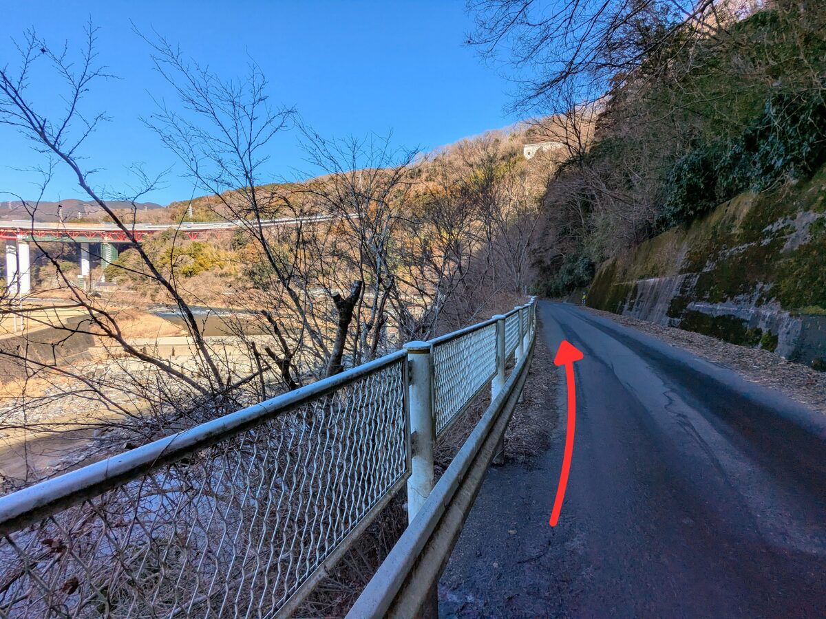 大野山（谷峨駅から大野山山頂）