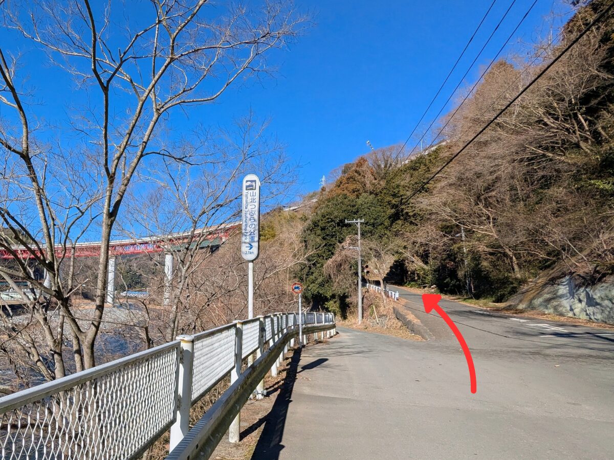 大野山（谷峨駅から大野山山頂）