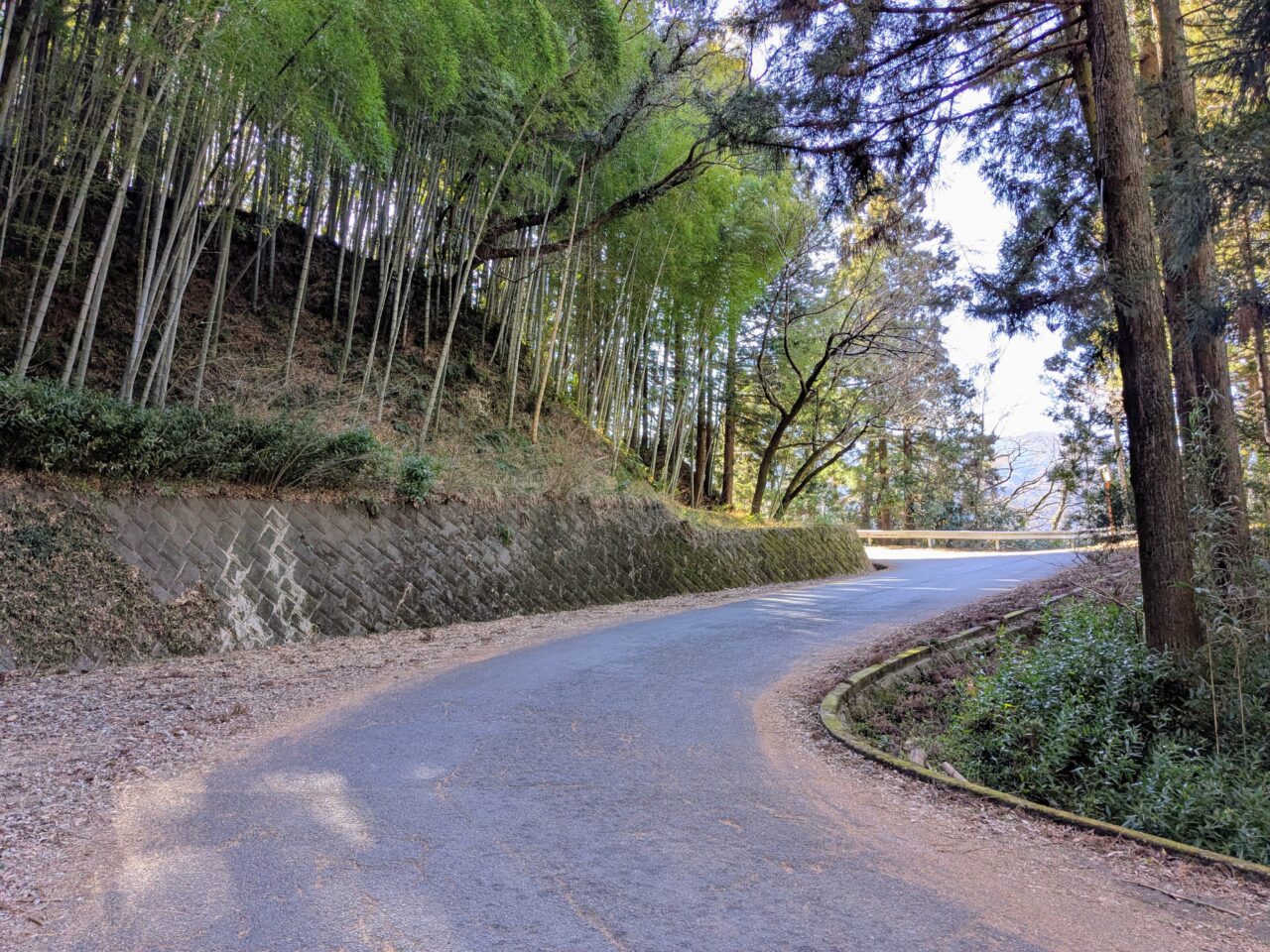 大野山（谷峨駅から大野山山頂）