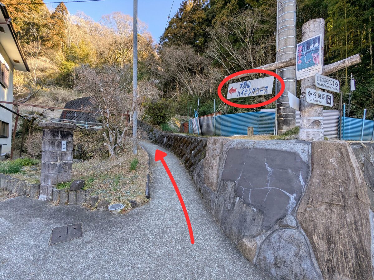 大野山（谷峨駅から大野山山頂）