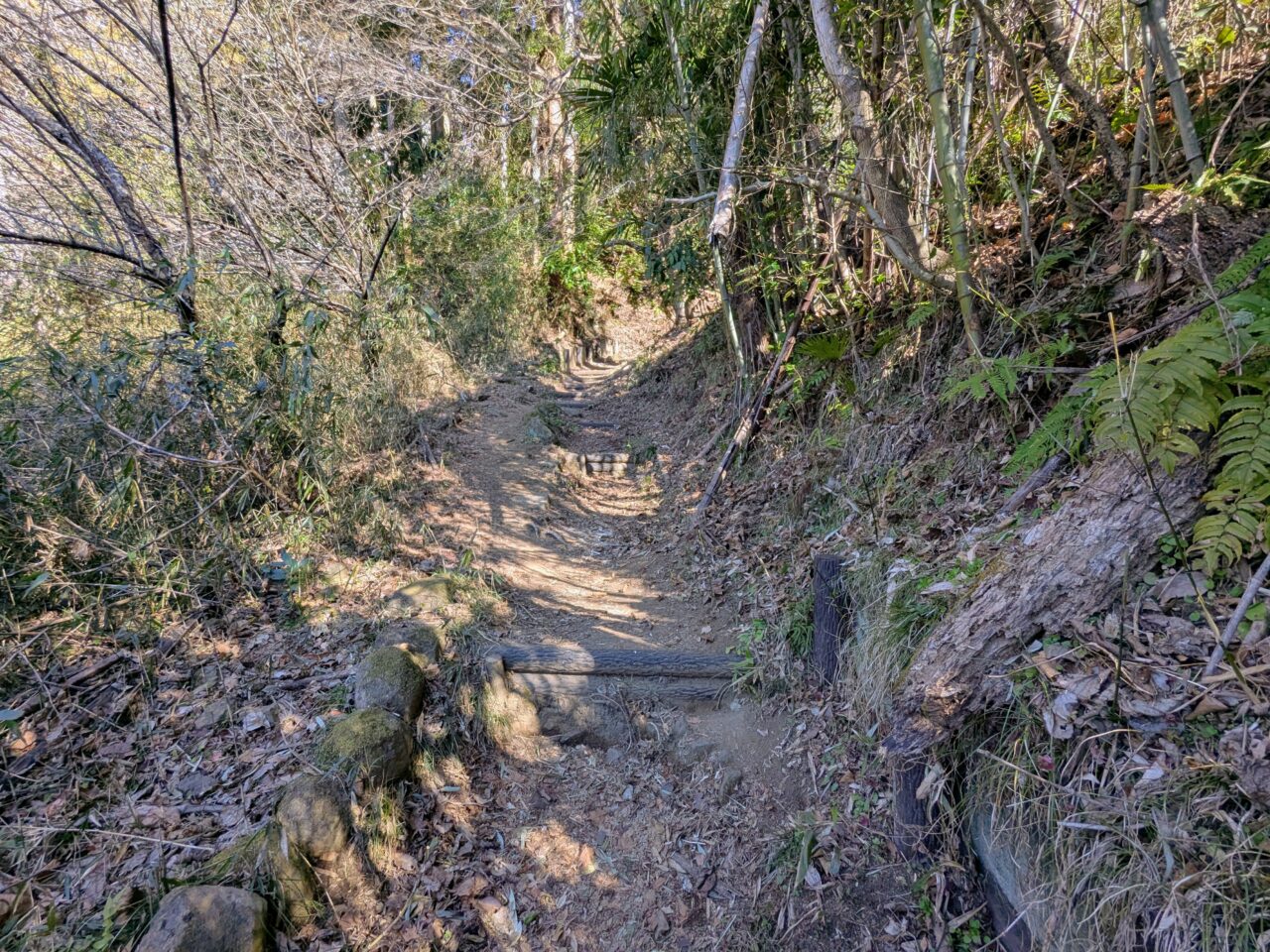 大野山（谷峨駅から大野山山頂）