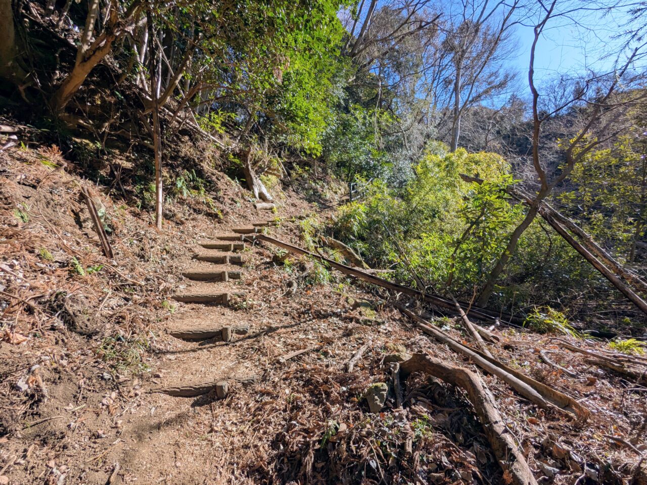 大野山（谷峨駅から大野山山頂）