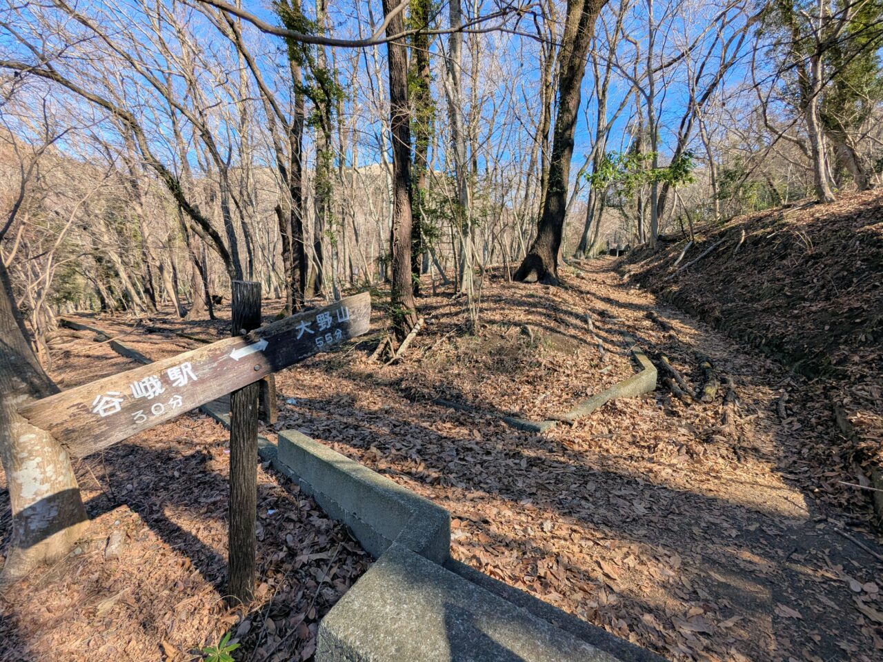 大野山（谷峨駅から大野山山頂）