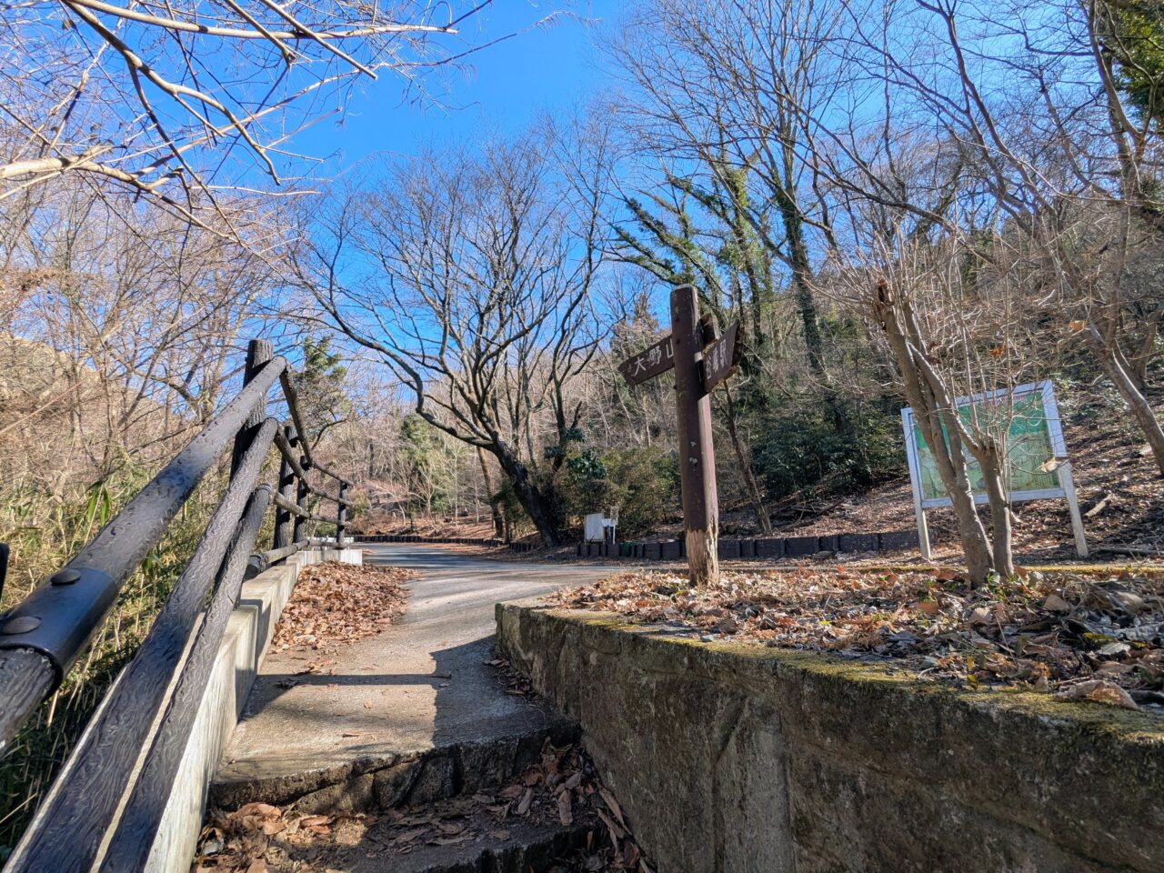 大野山（谷峨駅から大野山山頂）