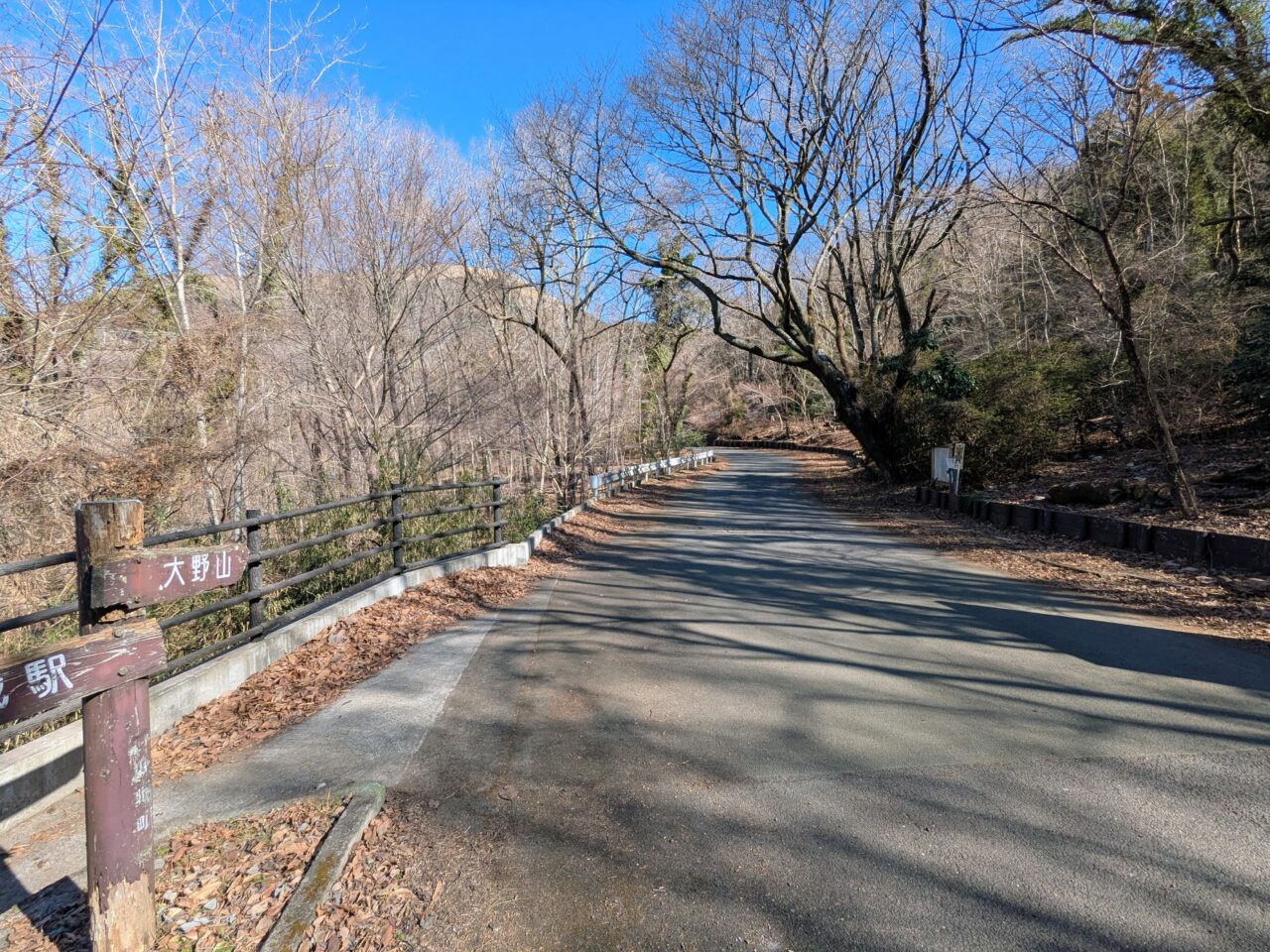 大野山（谷峨駅から大野山山頂）