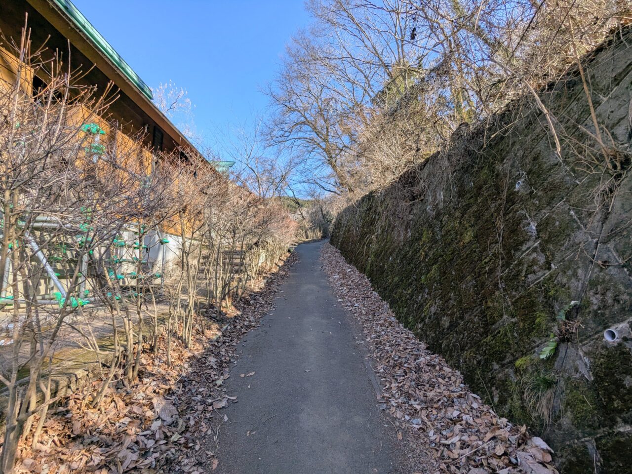 大野山（谷峨駅から大野山山頂）