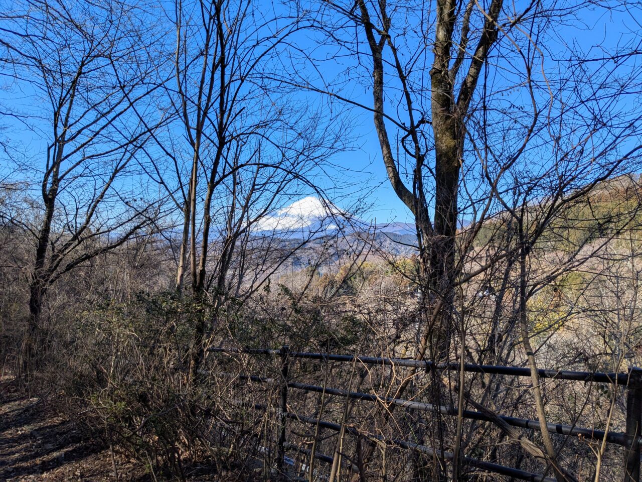 大野山（谷峨駅から大野山山頂）