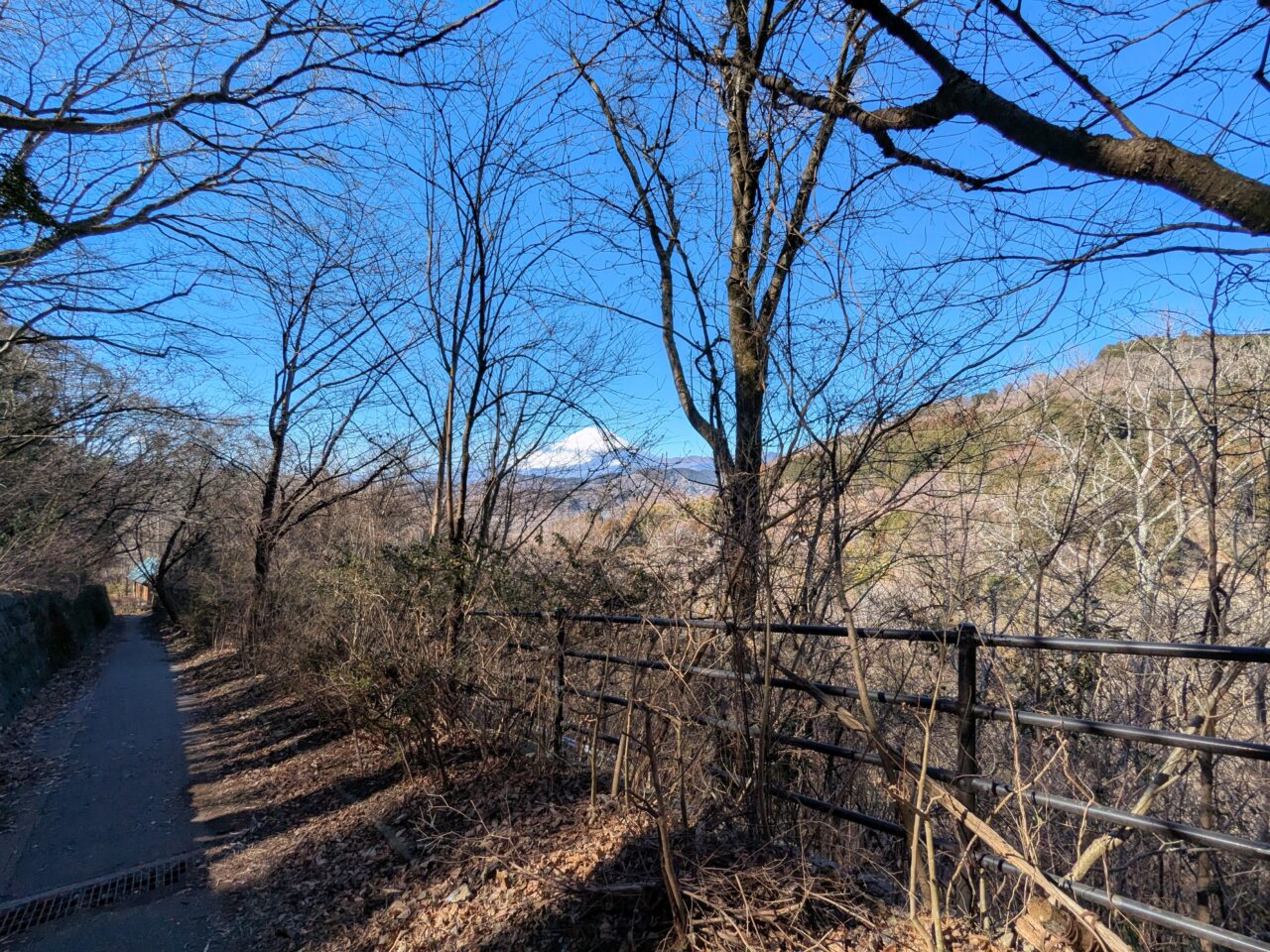 大野山（谷峨駅から大野山山頂）