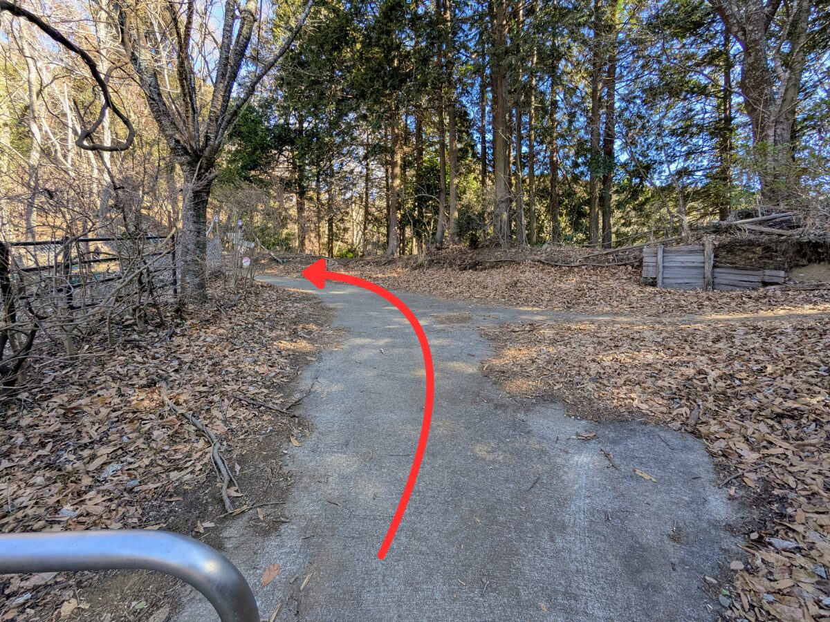 大野山（谷峨駅から大野山山頂）