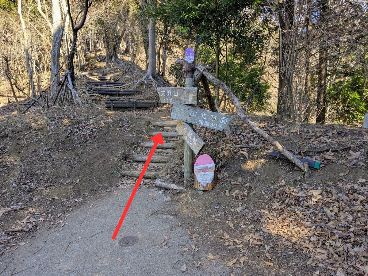 大野山（谷峨駅から大野山山頂）