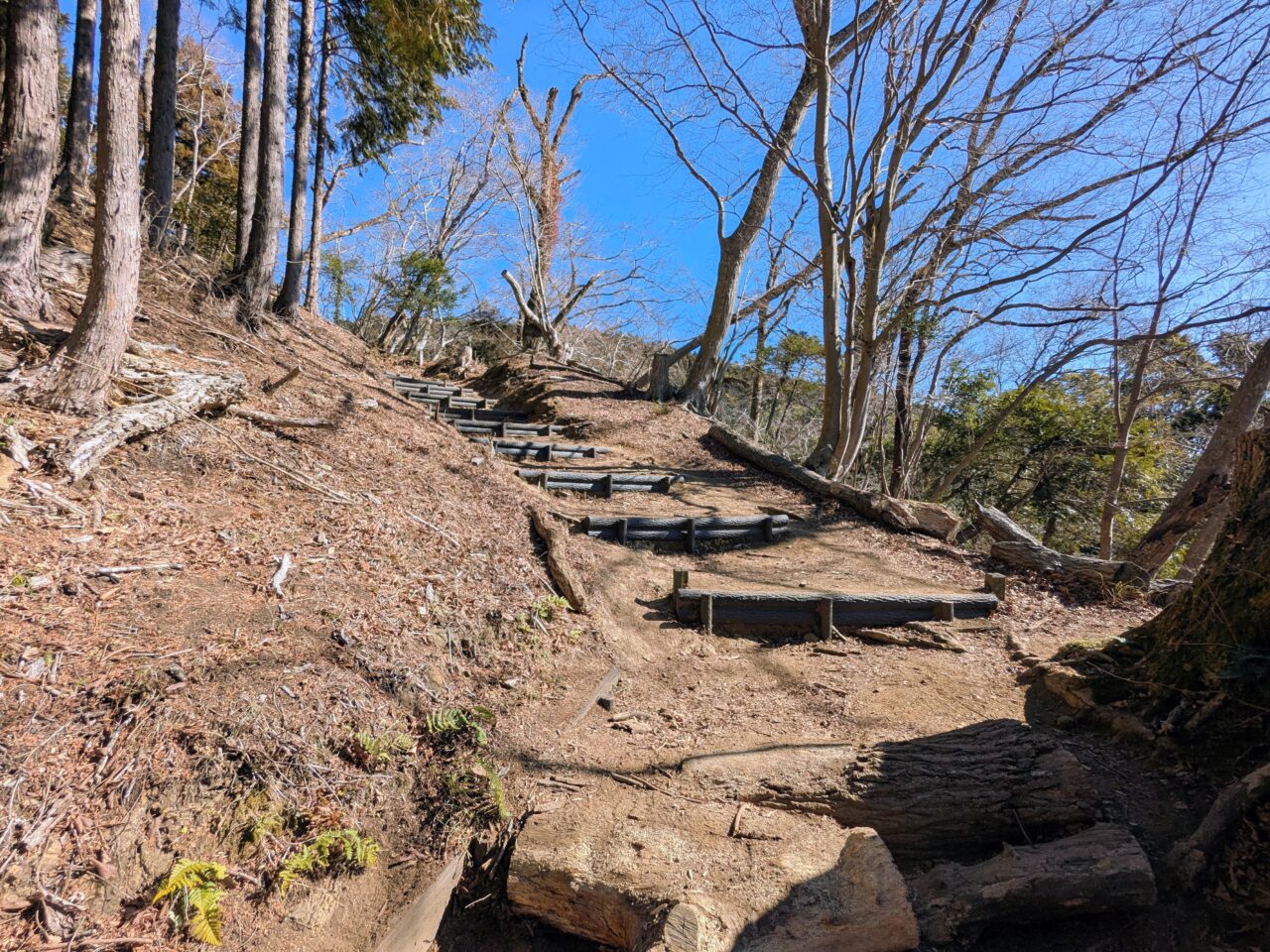 大野山（谷峨駅から大野山山頂）