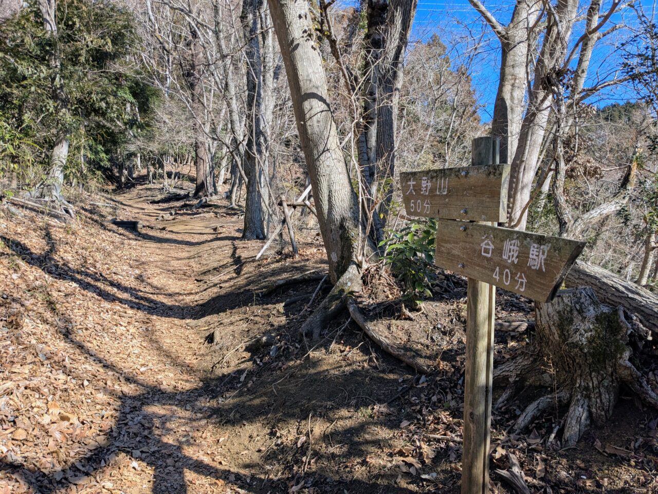 大野山（谷峨駅から大野山山頂）