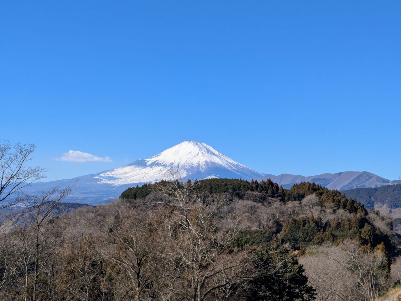 大野山（谷峨駅から大野山山頂）