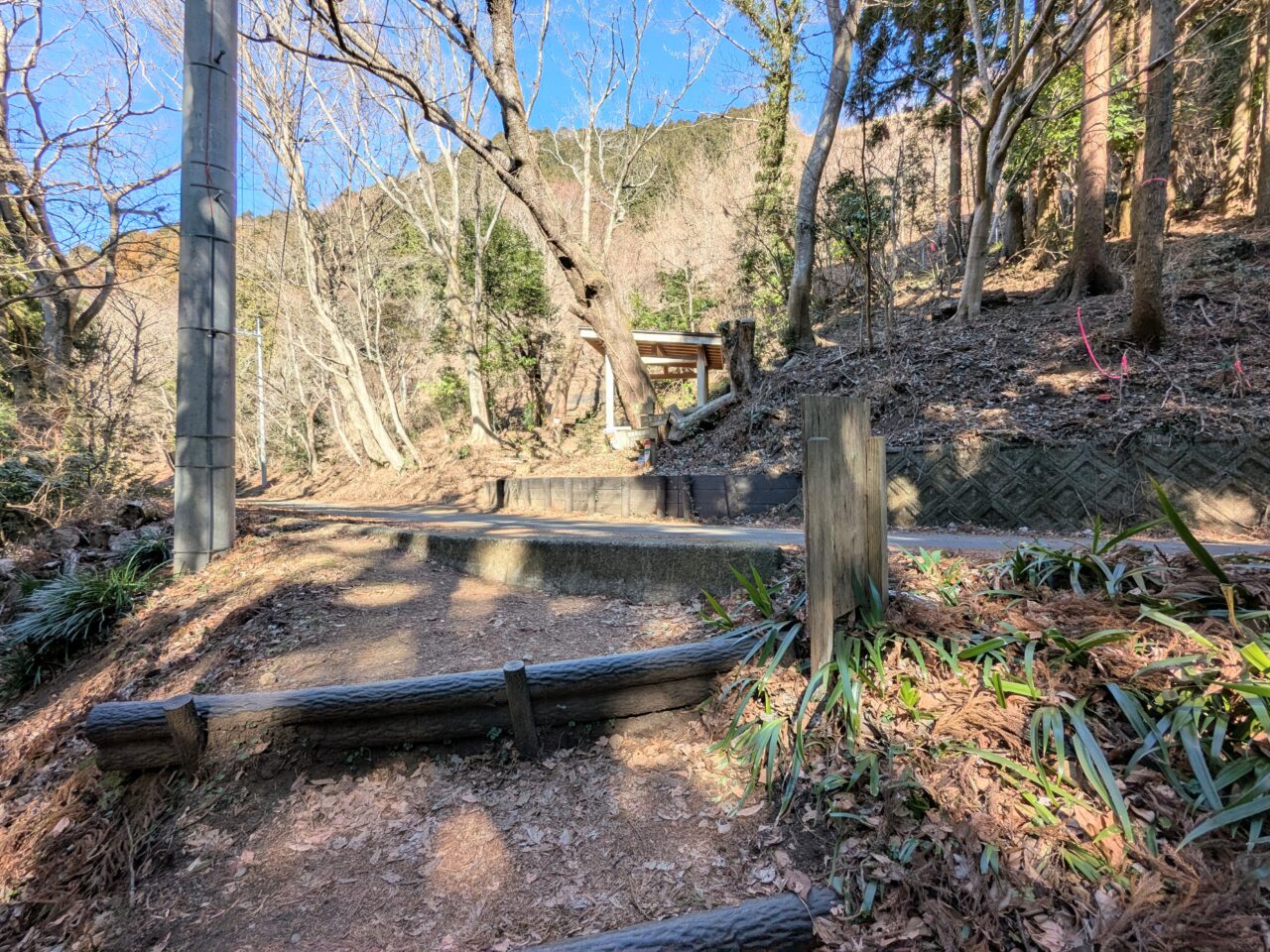 大野山（谷峨駅から大野山山頂）