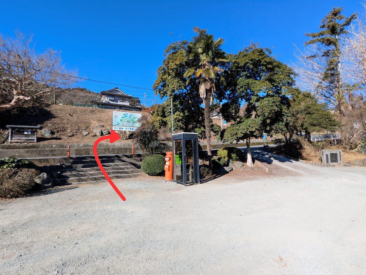 大野山（谷峨駅から大野山山頂）