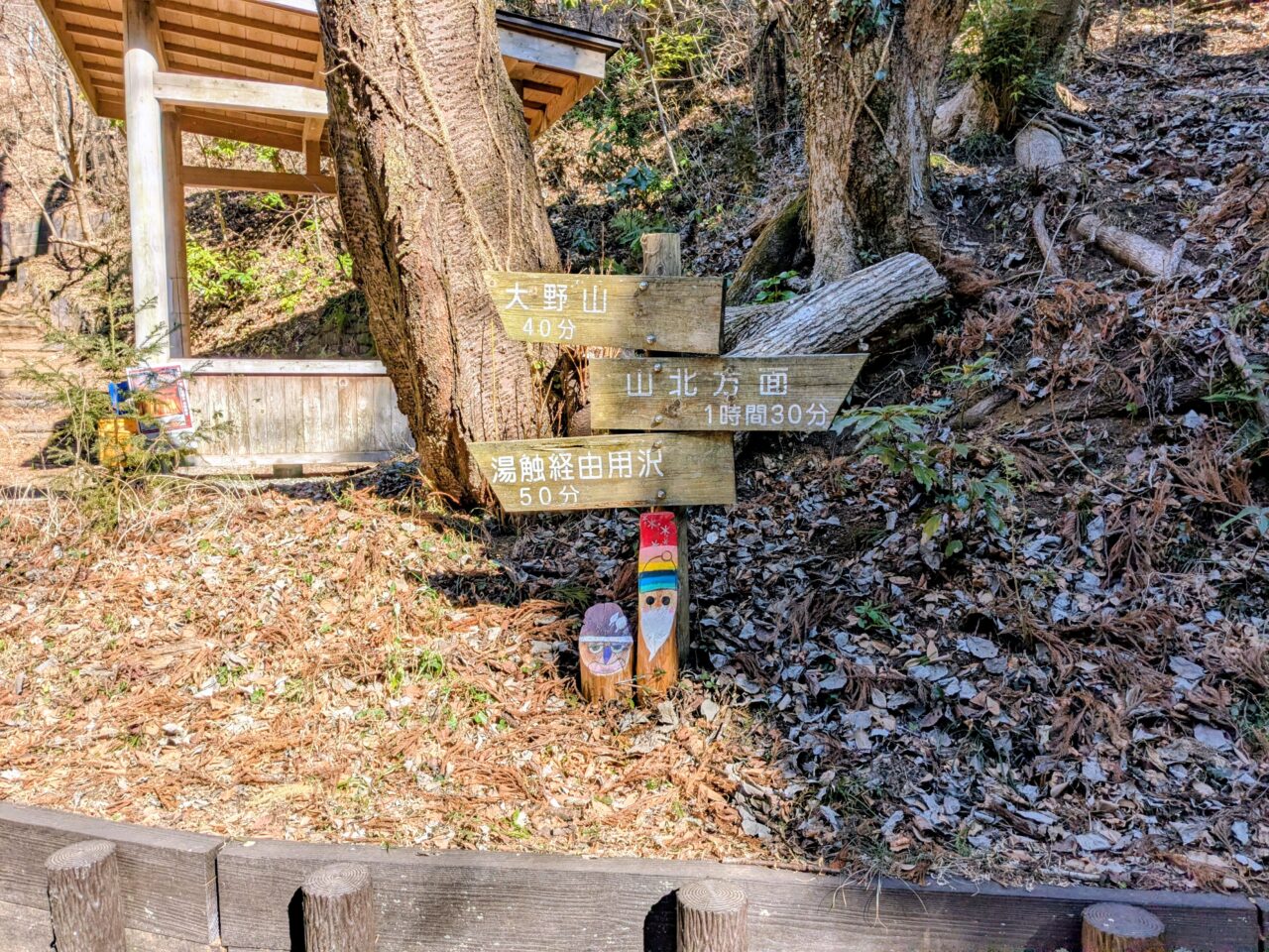 大野山（谷峨駅から大野山山頂）