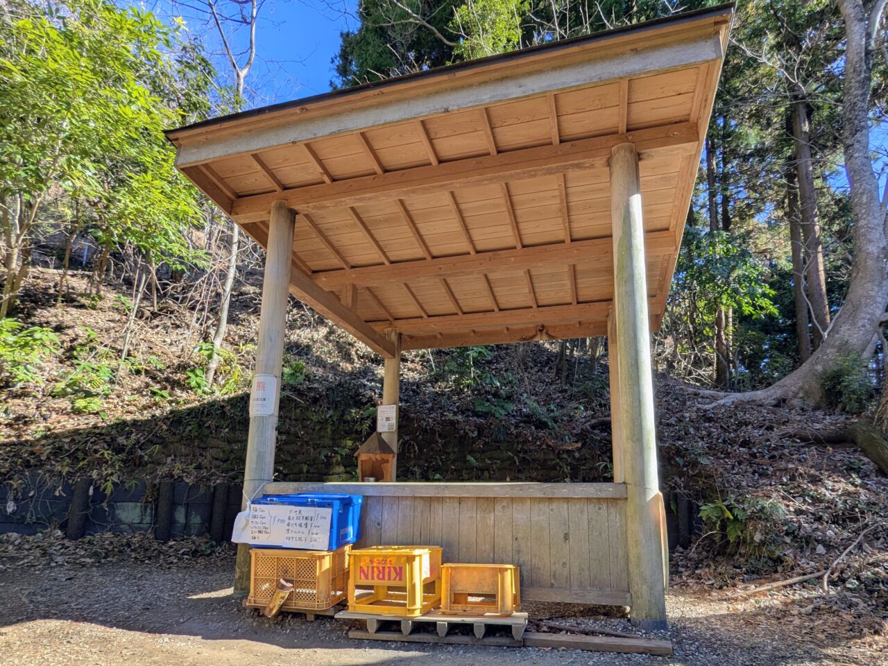 大野山（谷峨駅から大野山山頂）