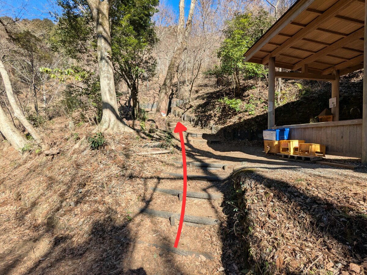 大野山（谷峨駅から大野山山頂）