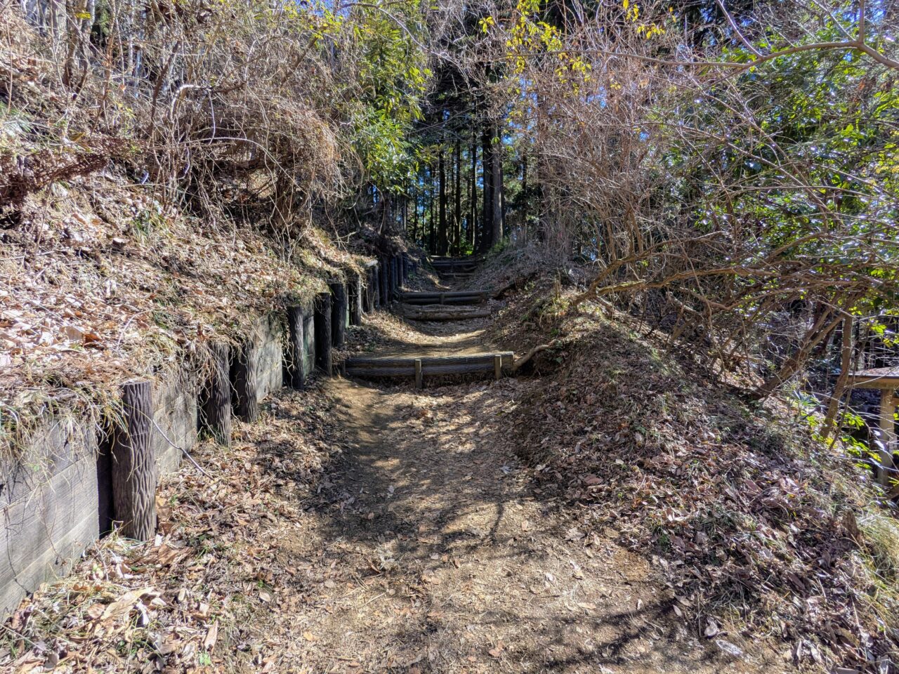 大野山（谷峨駅から大野山山頂）