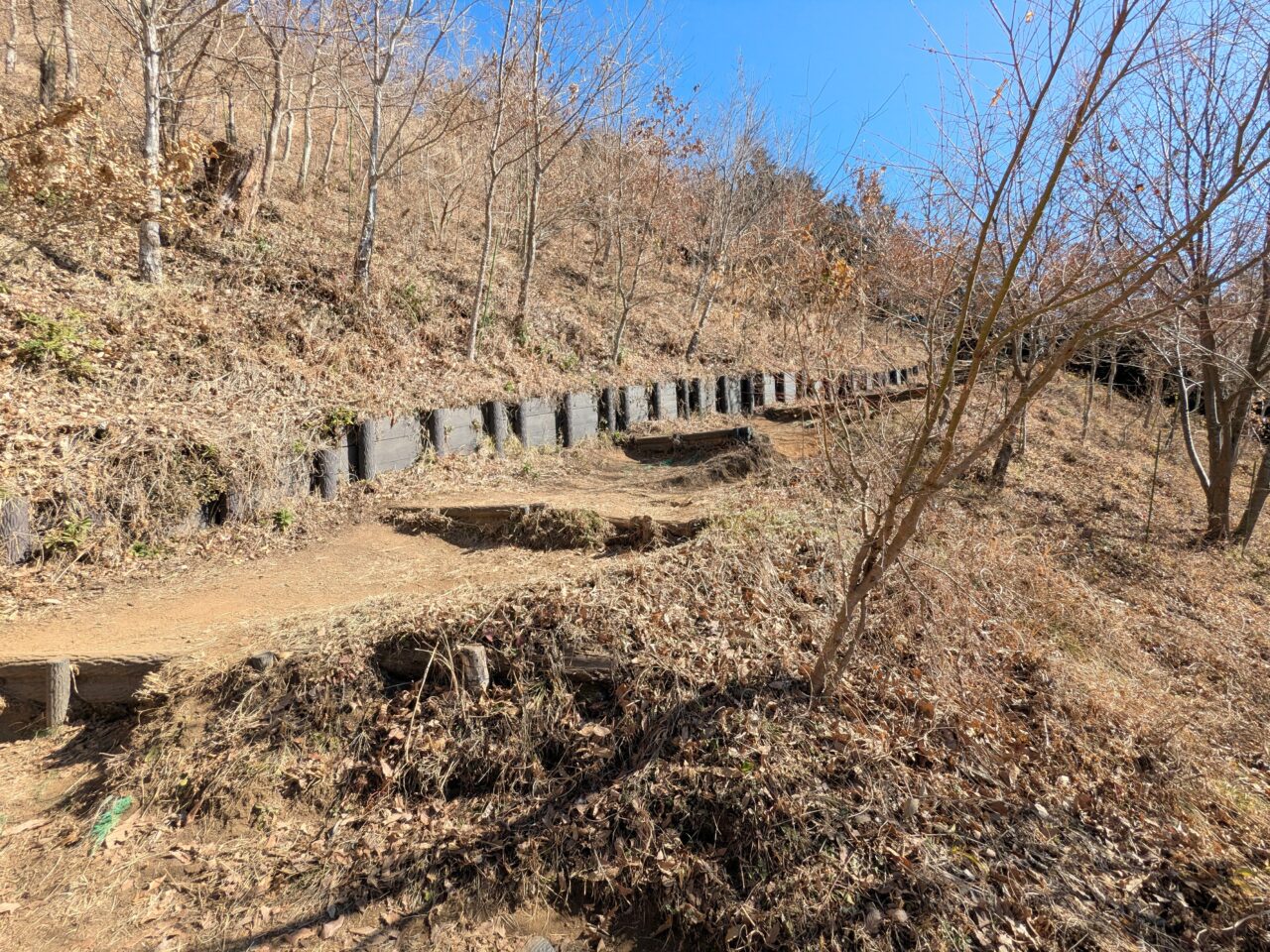 大野山（谷峨駅から大野山山頂）