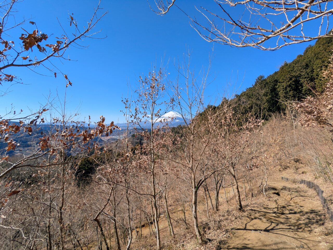 大野山（谷峨駅から大野山山頂）