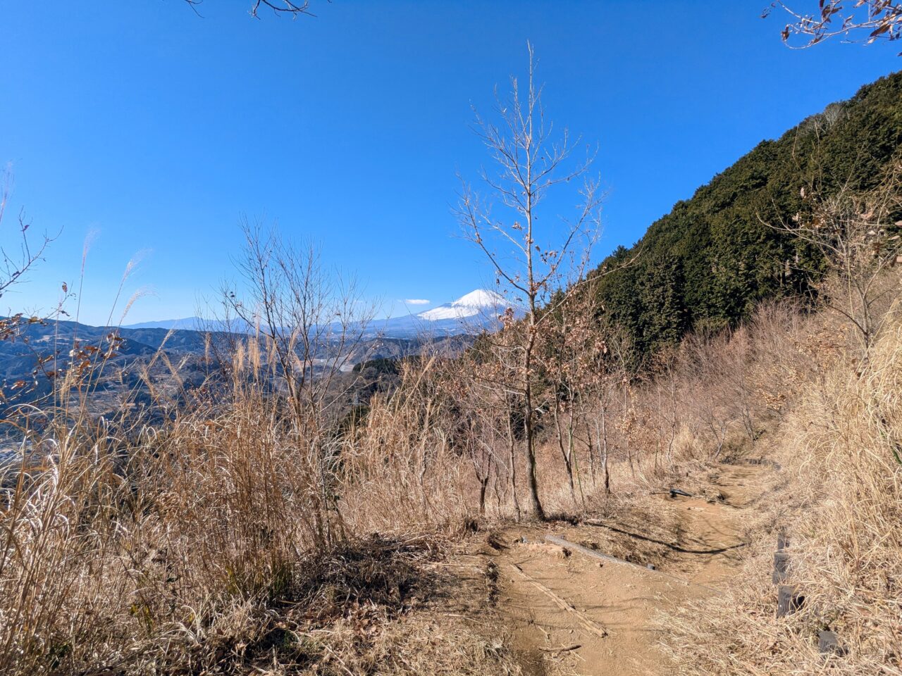 大野山（谷峨駅から大野山山頂）