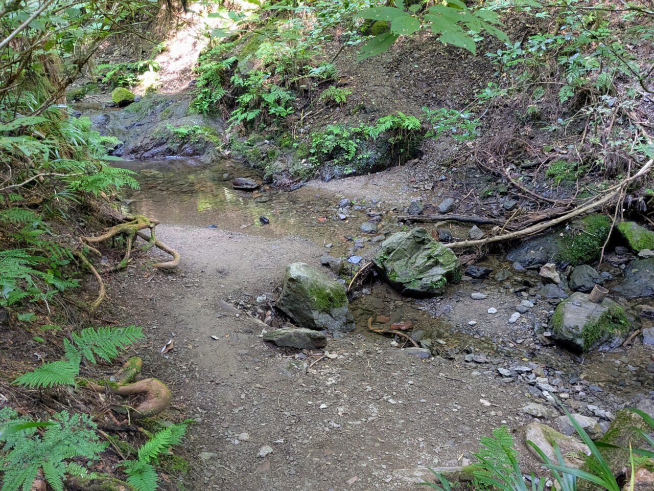 高尾山(6号路)