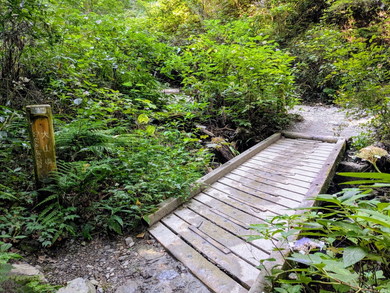 高尾山(6号路)