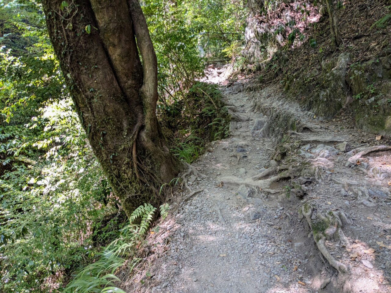 高尾山(6号路)