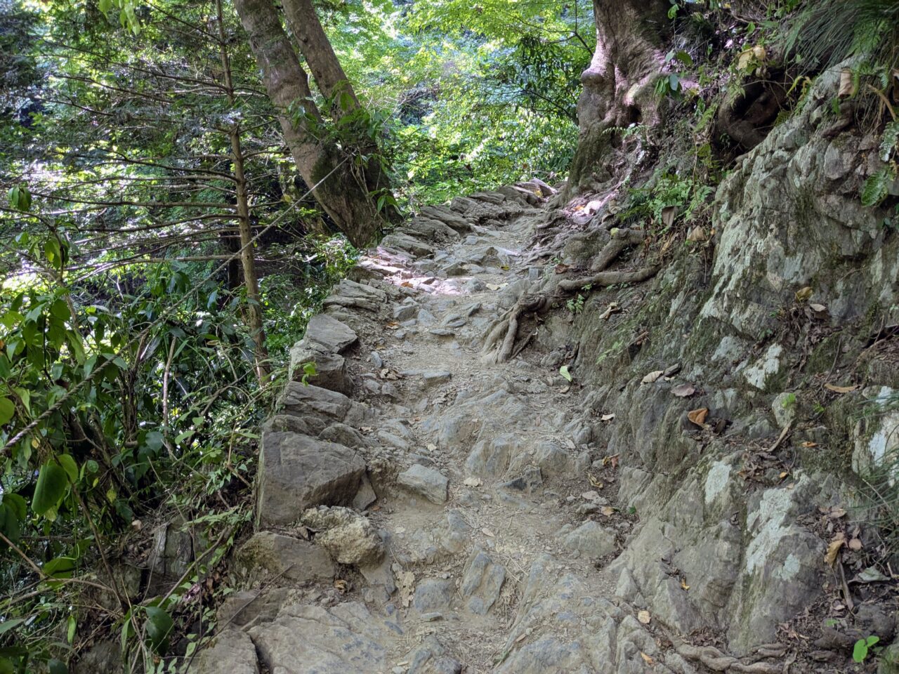 高尾山(6号路)