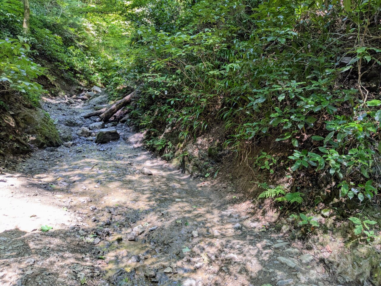 高尾山(6号路)