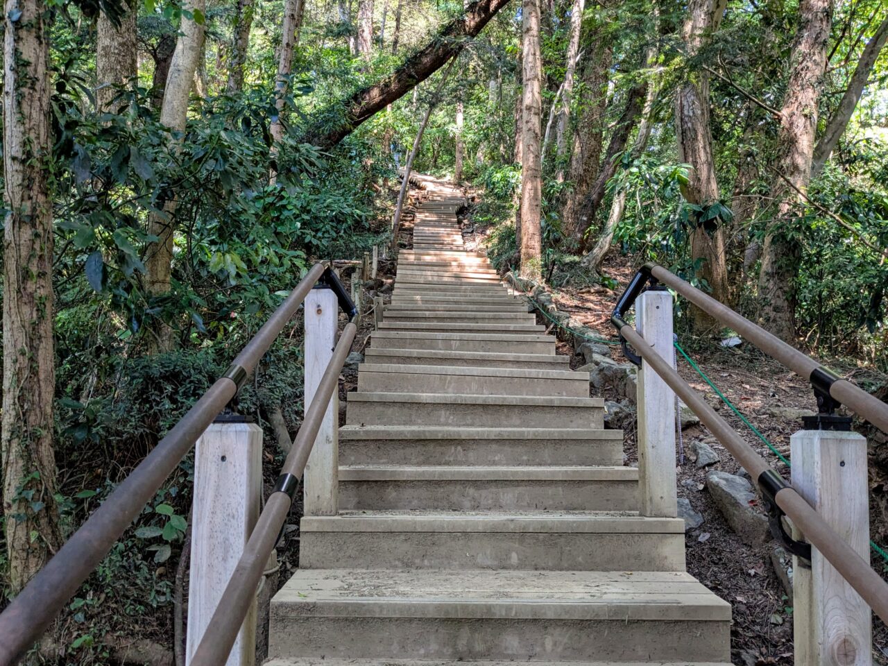 高尾山(6号路)