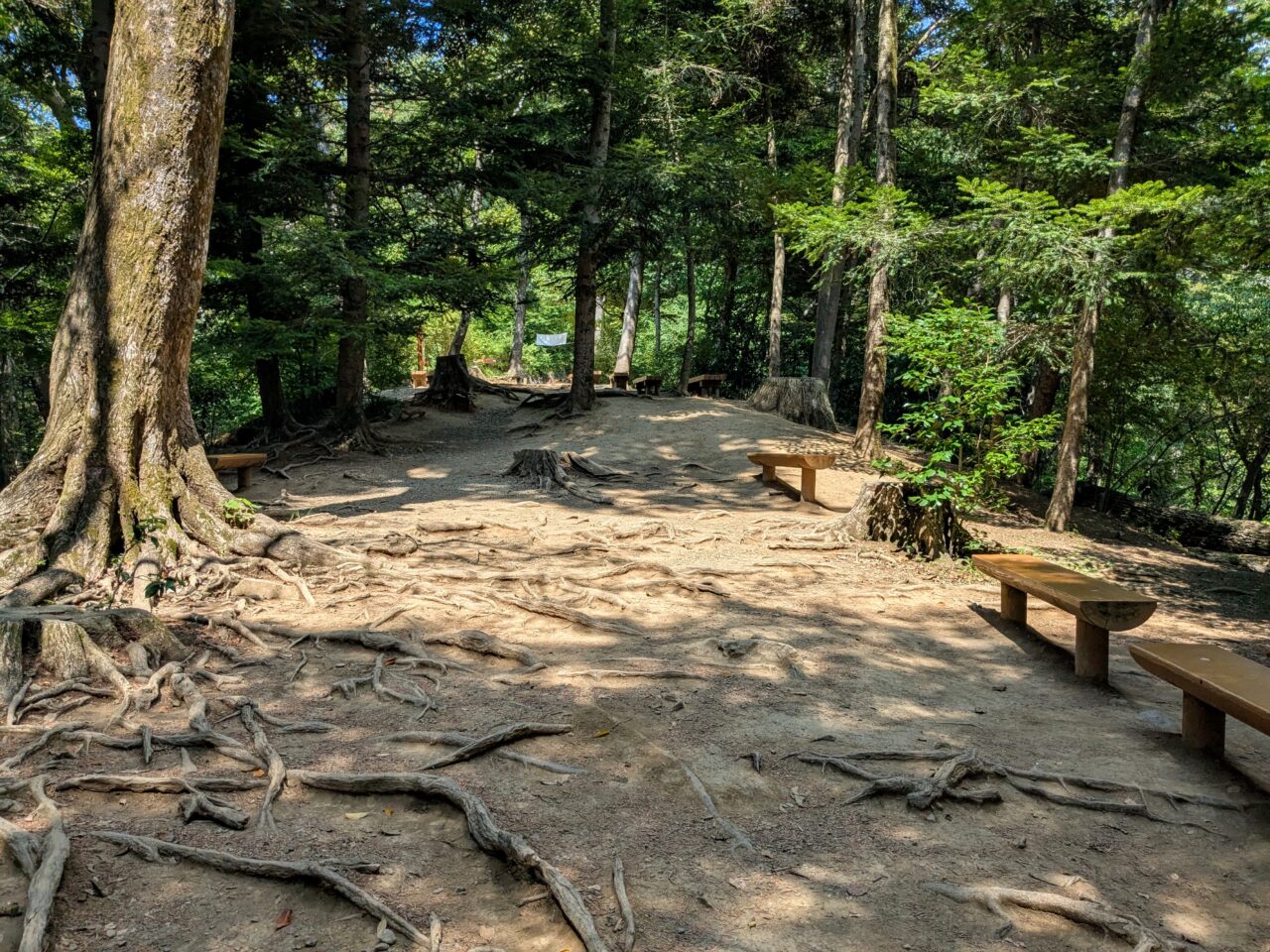 高尾山(6号路)