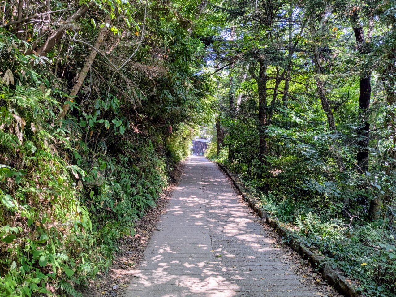 高尾山(6号路)