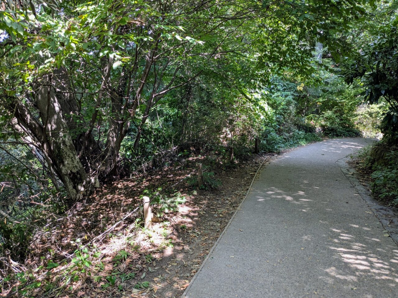 高尾山(1号路)
