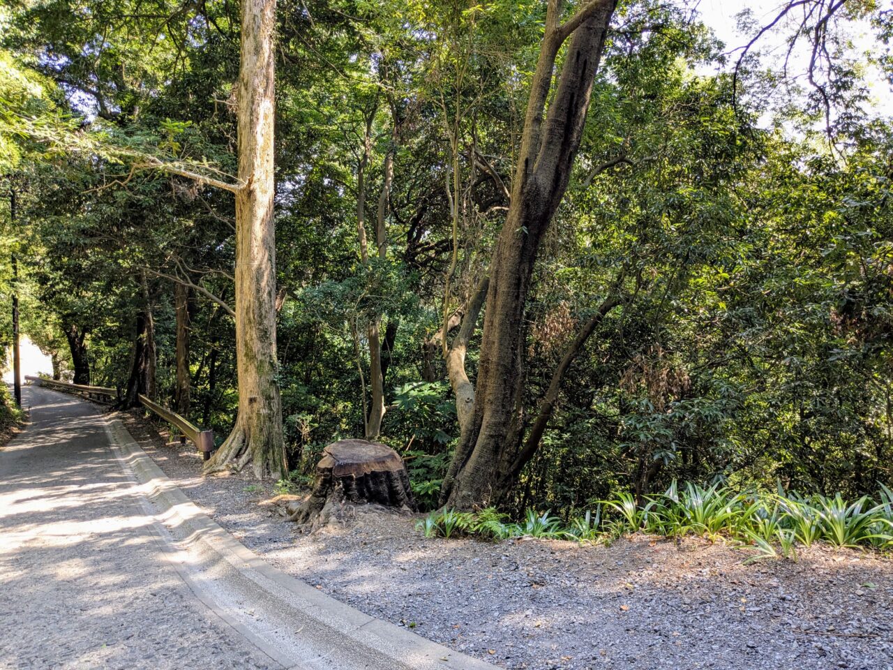 高尾山(1号路)