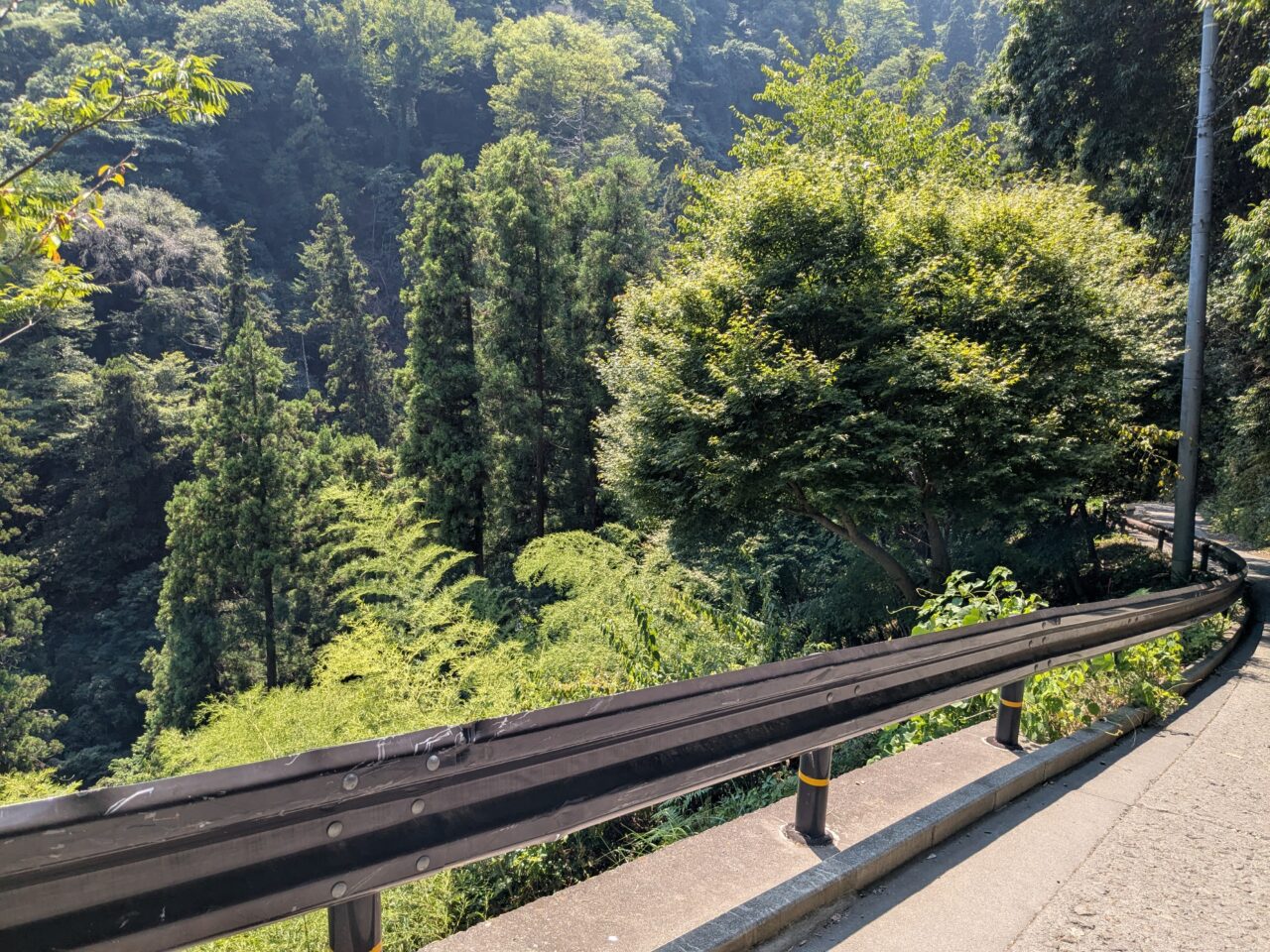 高尾山(1号路)