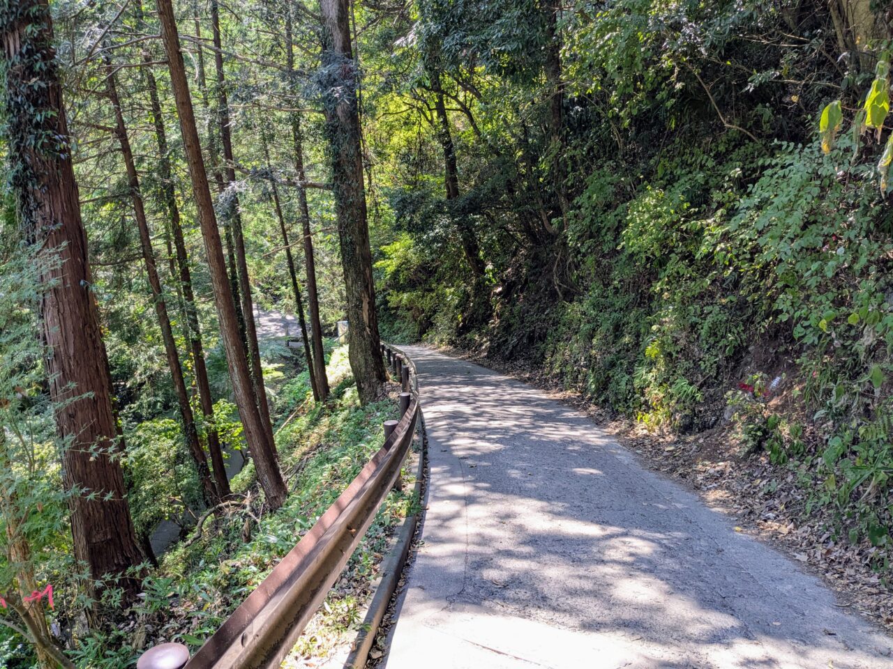 高尾山(1号路)