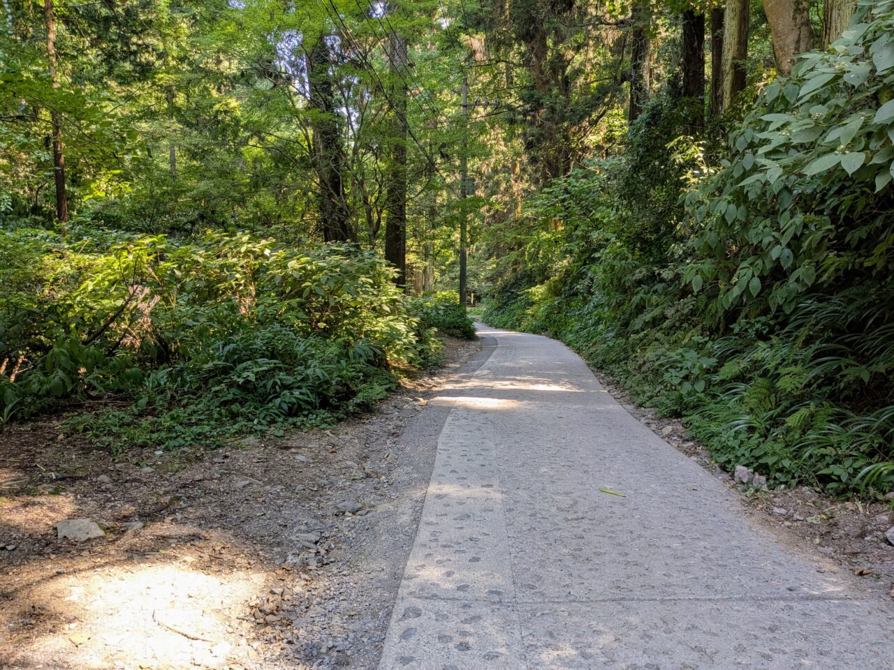 高尾山(1号路)