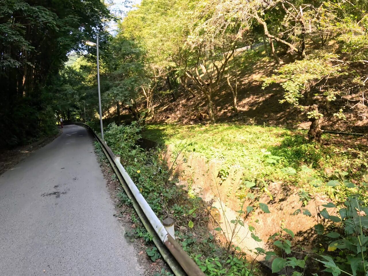 高尾山口駅から6号路登山道への道のり