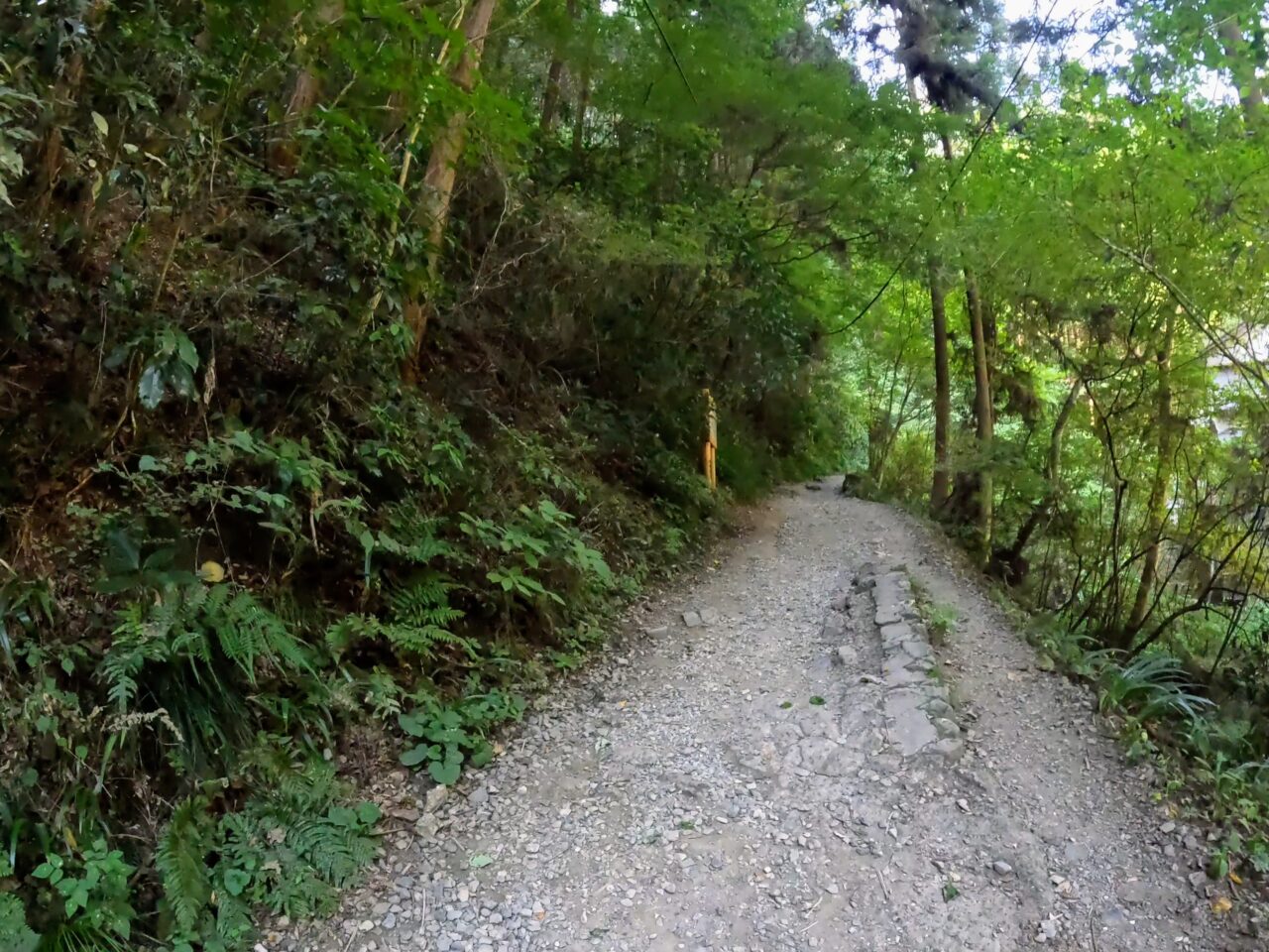 高尾山(6号路)