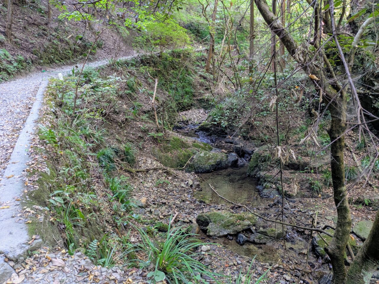 高尾山(6号路)