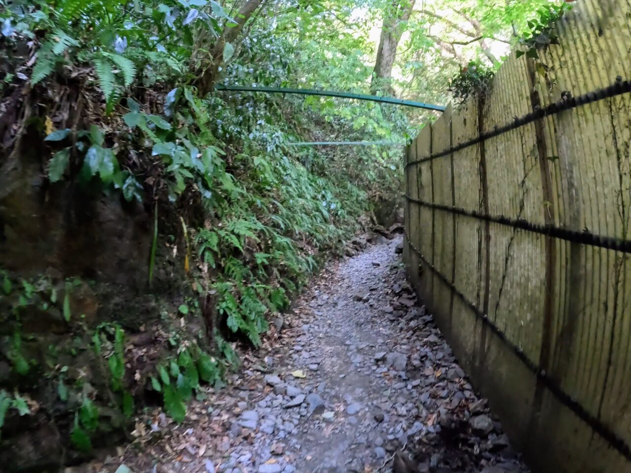 琵琶滝