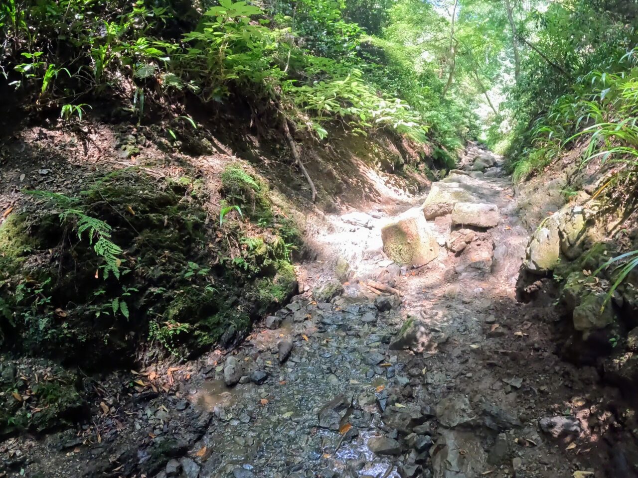高尾山(6号路)
