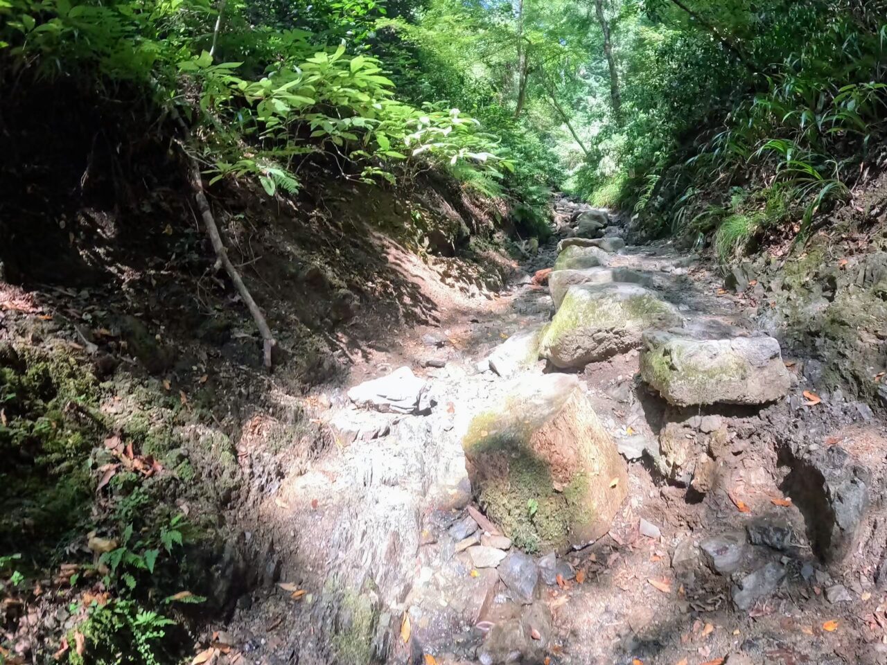 高尾山(6号路)