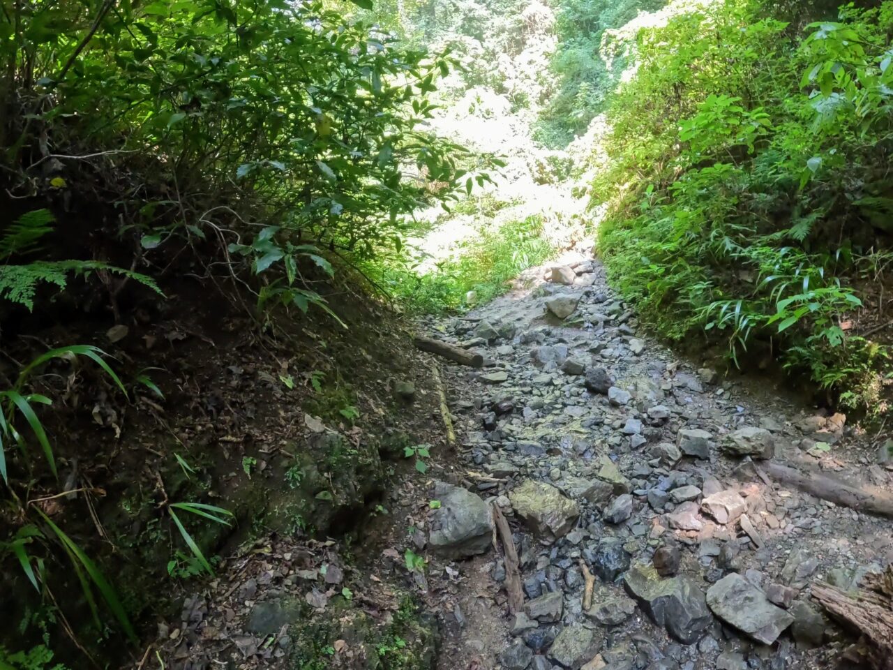 高尾山(6号路)