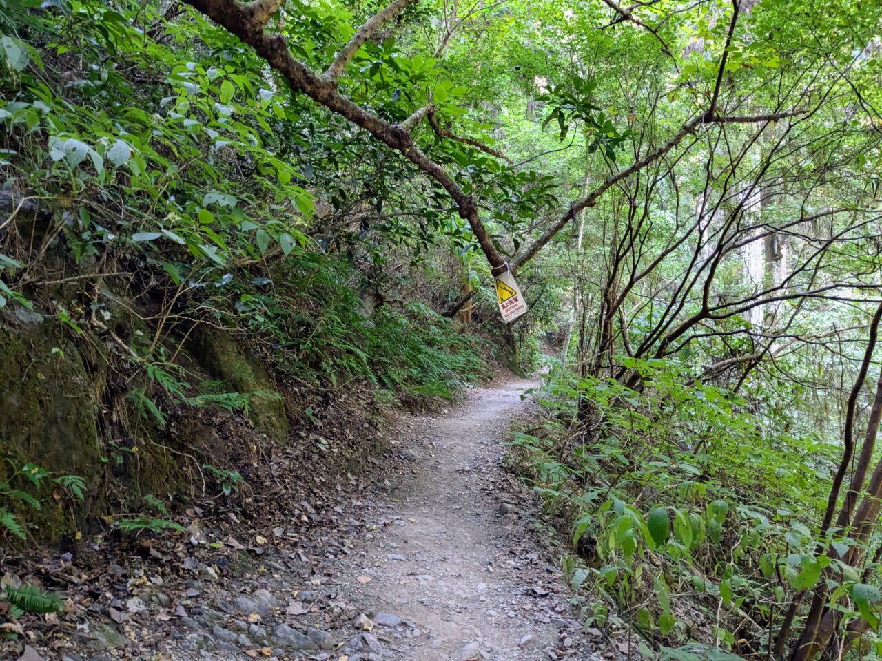 高尾山(6号路)