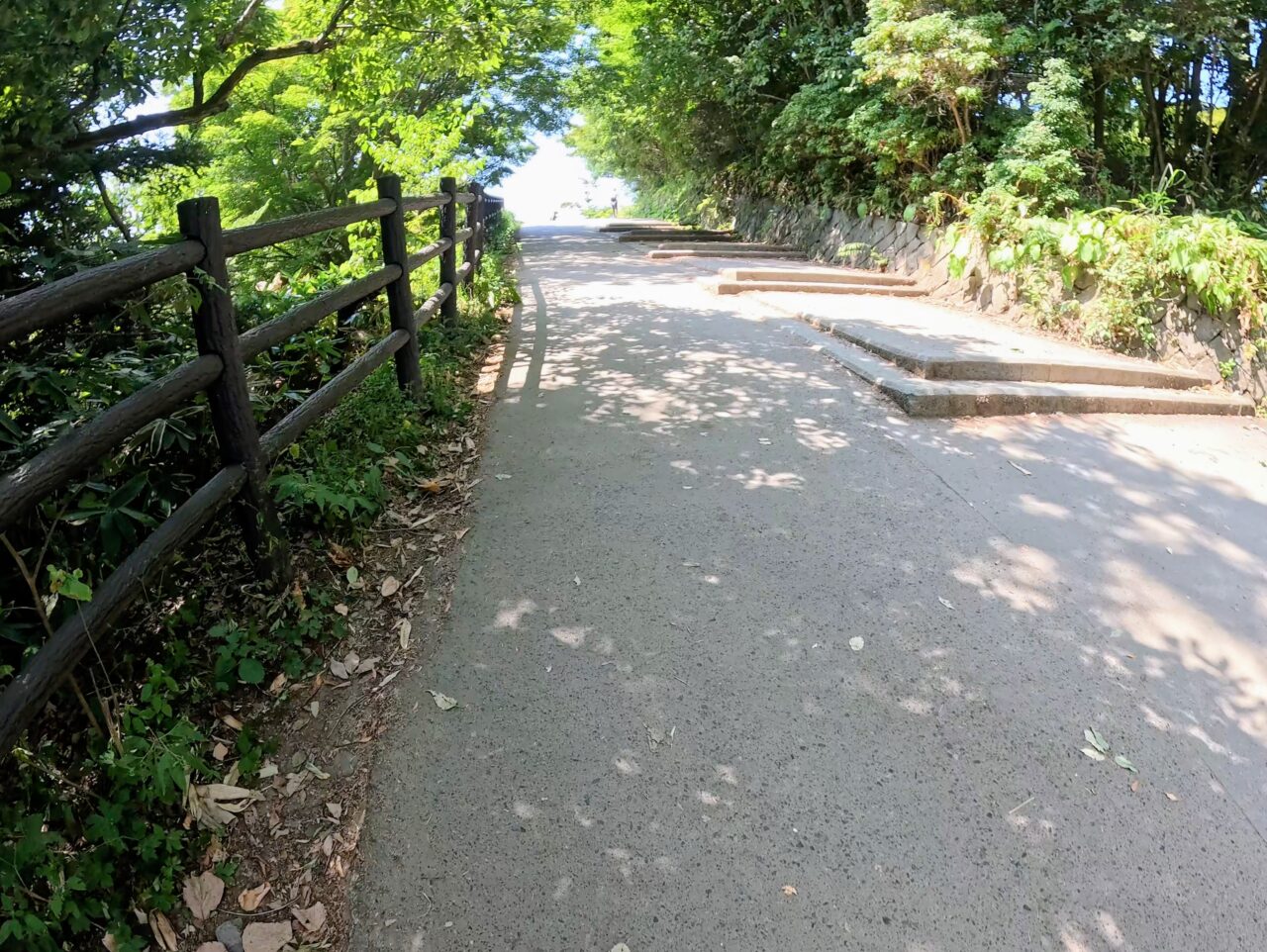 高尾山(6号路)