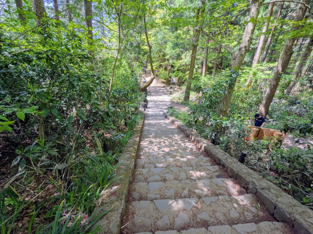 高尾山（高尾山山頂から小仏城山）
