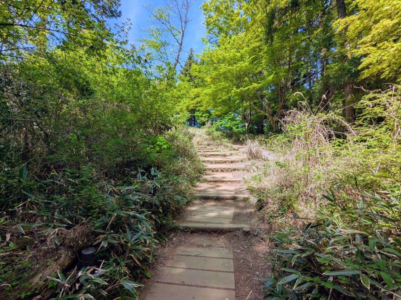 高尾山（高尾山山頂から小仏城山）